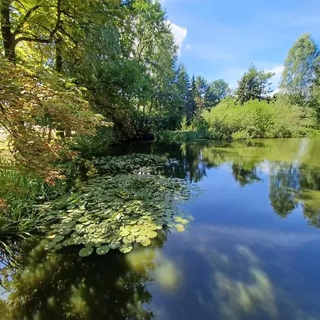 Waldblick *
