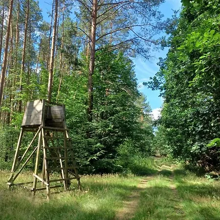 Holiday home Waldblick