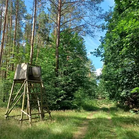 بيت للعطل Waldblick