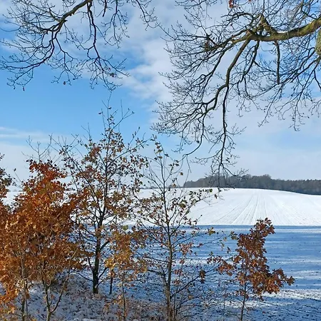 Casa vacanze Waldblick *