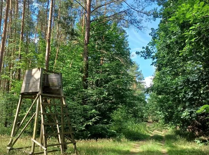 Holiday home Waldblick