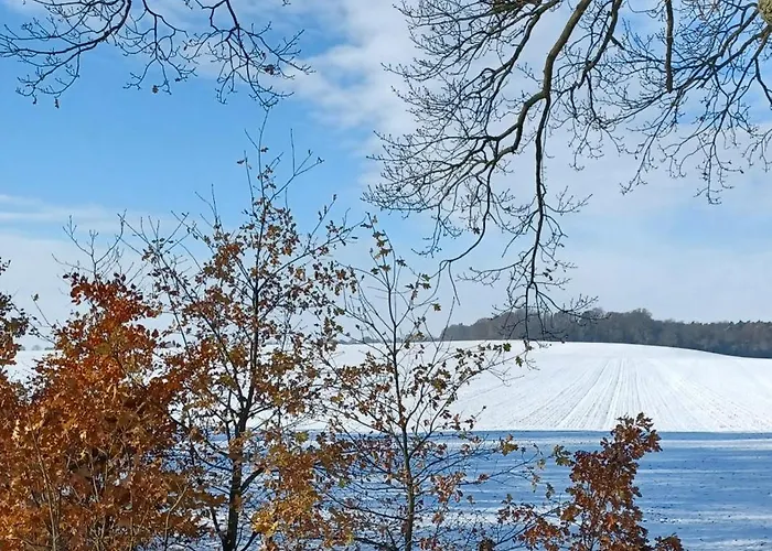 Holiday home Waldblick *